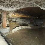 Energy Advisory Services in Lodi, CA